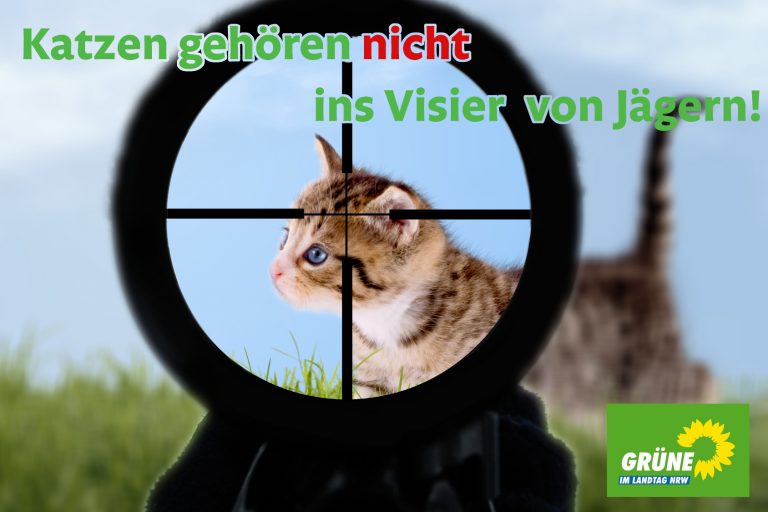 Weder Jagdgesetz noch Katzen gehören in die Tonne, Herr Spiecker!